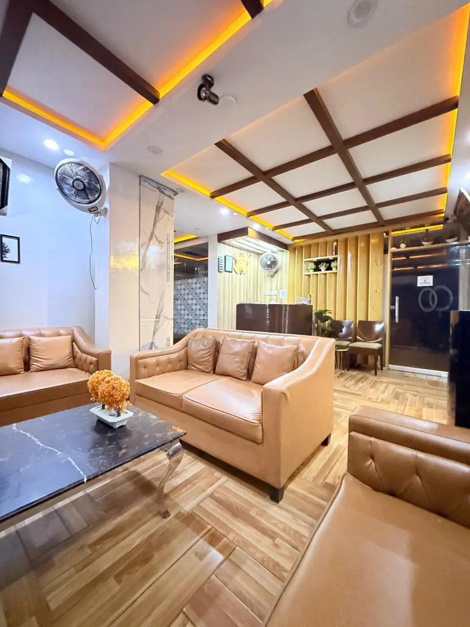 Hair_Xpert_Dental_&_Aesthetic_Clinic